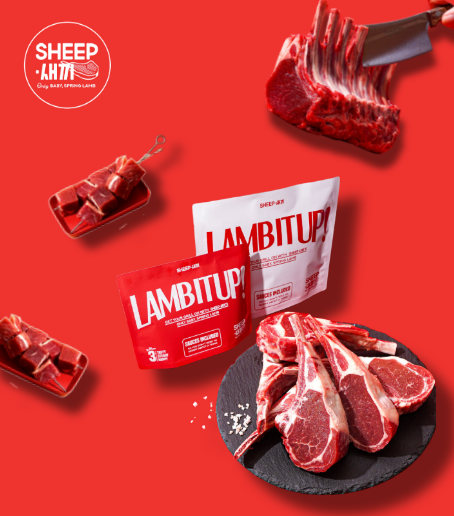 양고기의 모든 것 Sheep 새끼